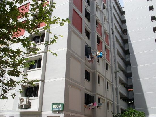 Blk 893A Tampines Avenue 8 (Tampines), HDB Executive #96952